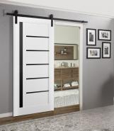 Dallas Interior Barn Door with Frosted Glass