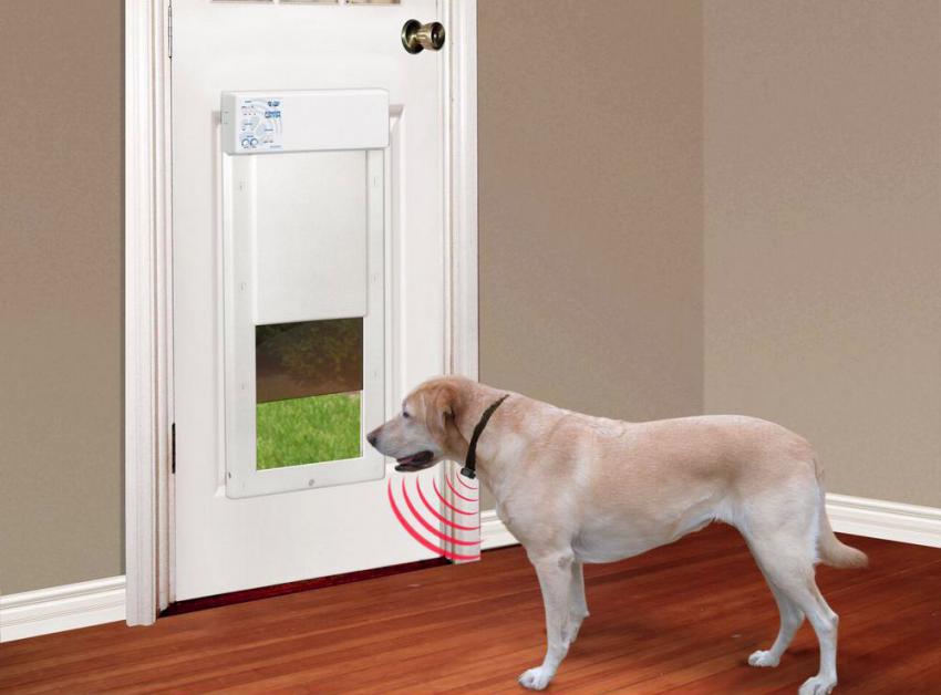 Installing a pet door what you should know